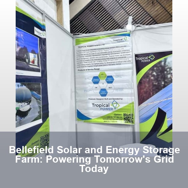 Bellefield Solar and Energy Storage Farm: Powering Tomorrow's Grid Today